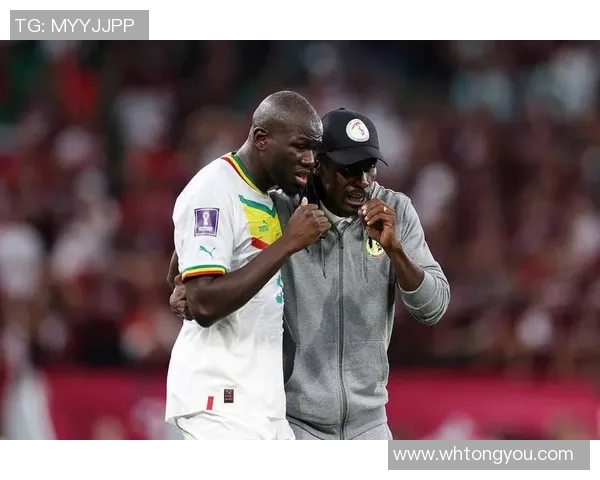 尼日尔足球球星崛起引领非洲绿茵场新时代风潮